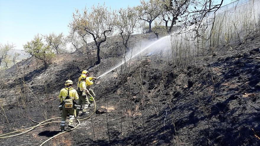 Incendio en unos bancales abandonados junto al cementerio de Moratalla