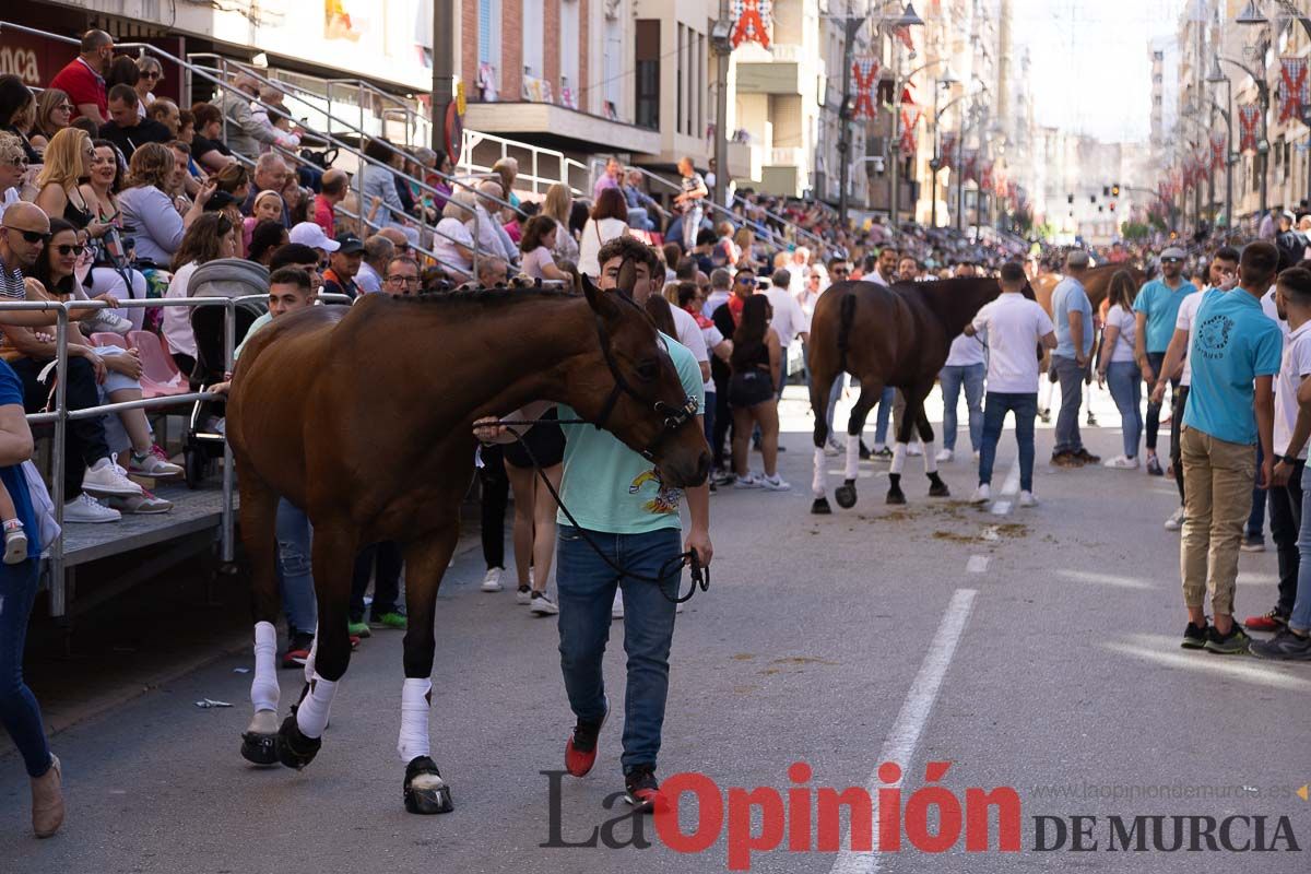 Pasacalles caballos del vino al hoyo