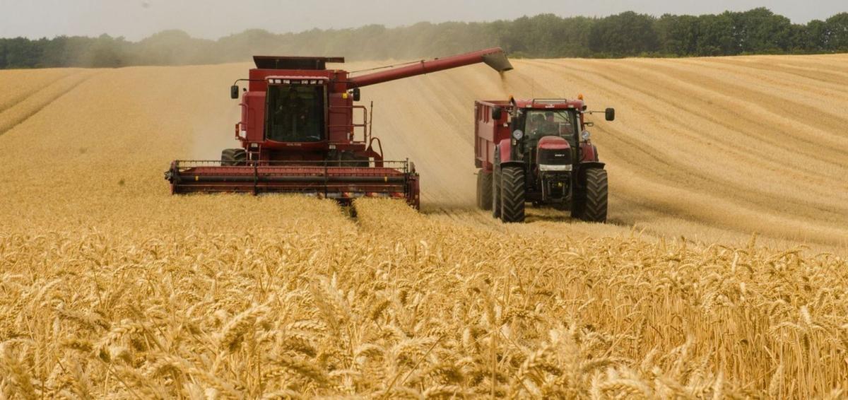 L’aliança UE-Mercosur reordena el mapa mundial