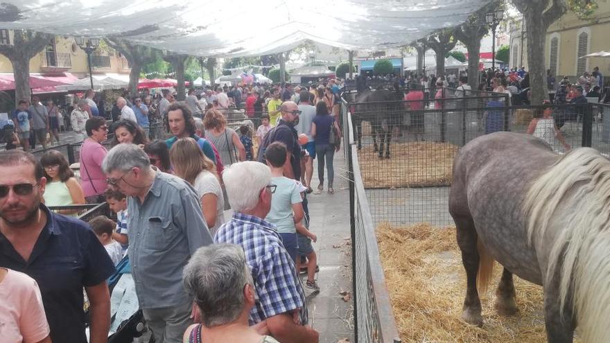 El carácter tradicional consolida la Fira de Artà