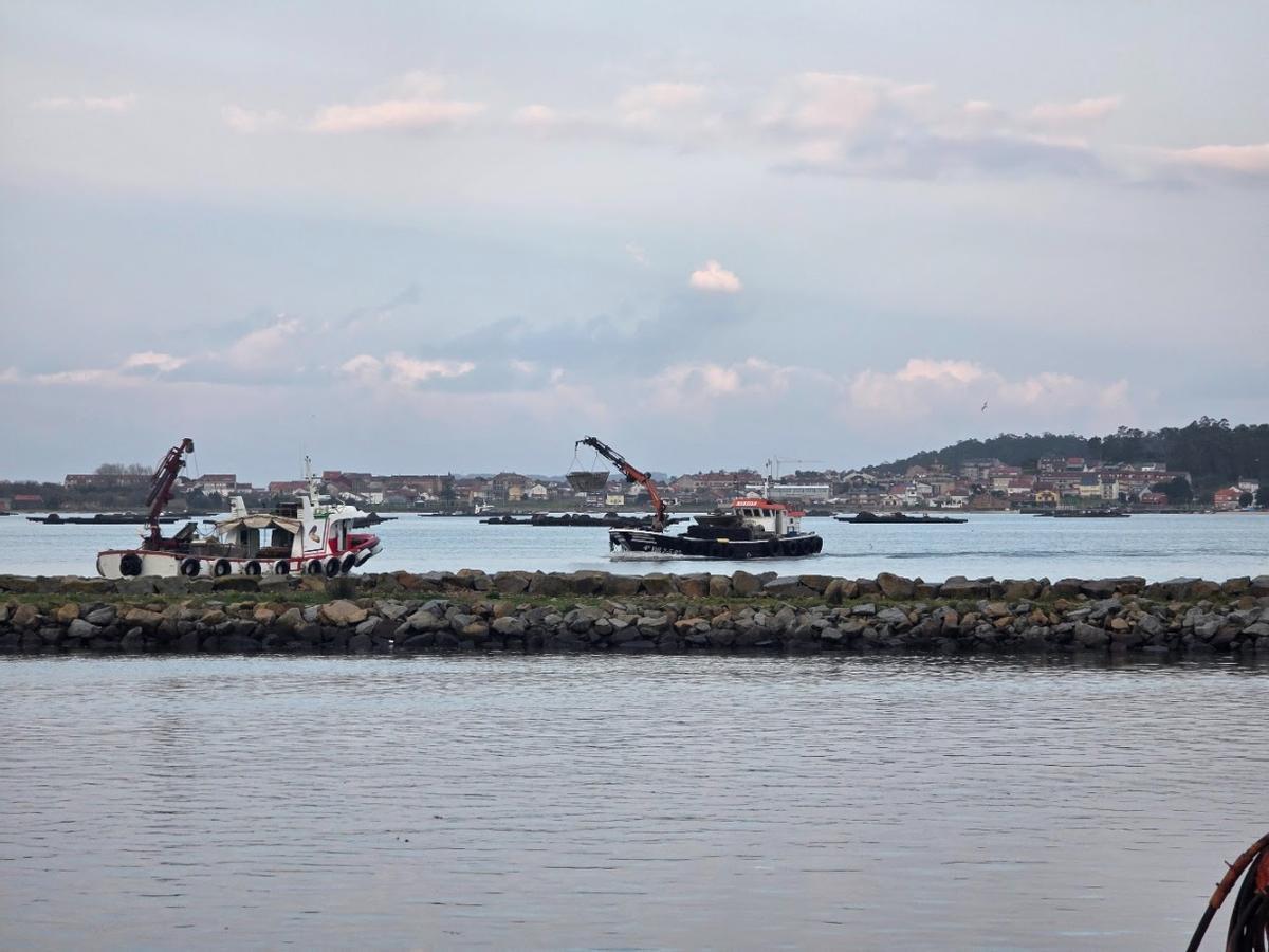 Barcos entrando y saliendo de puerto, esta mañana.