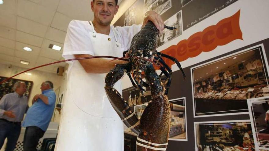 Una pescadería se hace con un bogavante de seis kilos