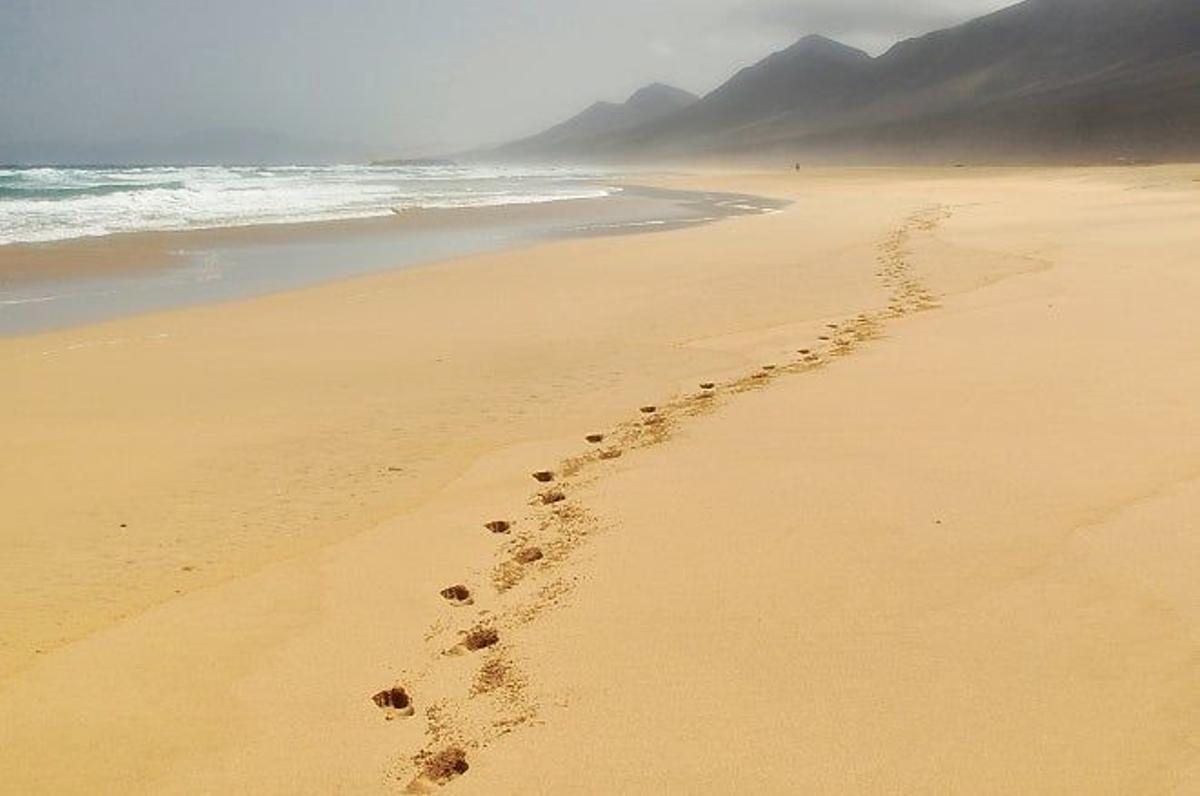 Muchas de estas playas son lugares casi inexplorados por el ser humano