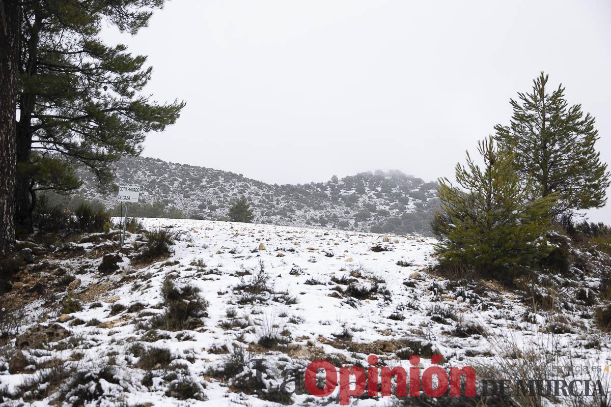 Así se está viviendo la última nevada en las proximidades de Revolcadores en Moratalla Así se está viviendo la última nevada en las proximidades de Revolcadores en Moratalla