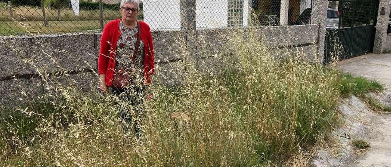 Rosa Martínez muestra el estado que presentan las hierbas en el lugar de San Vicente. // Muñiz