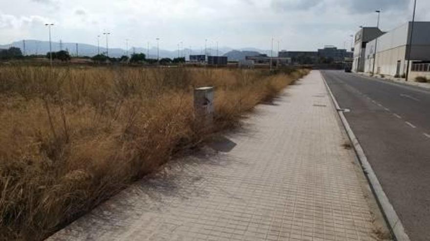 El cadáver de la mujer fue encontrado en estos matorrales.