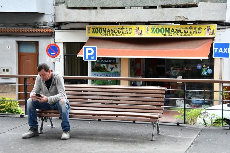 Perros en un escaparate en una tienda de San Grego