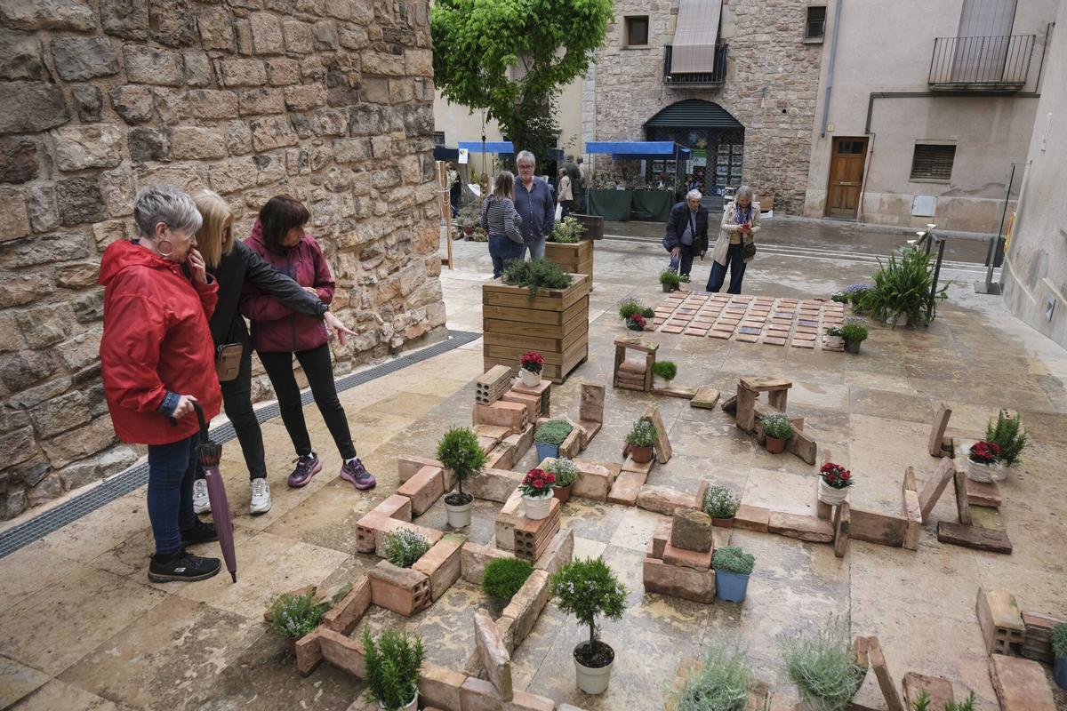 Les imatges de Santpedor en Flor Les imatges de Santpedor en Flor