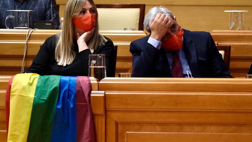 Las imágenes de la moción de censura en el Ayuntamiento de Torremolinos