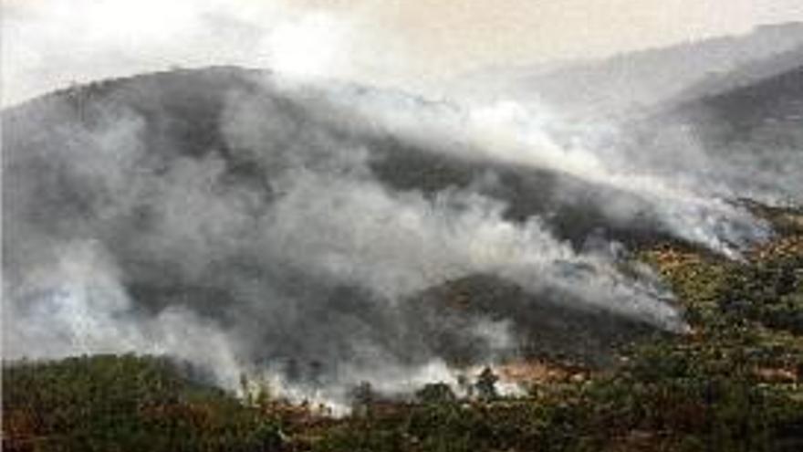 Un del fronts del foc que afecta la província de Càceres.