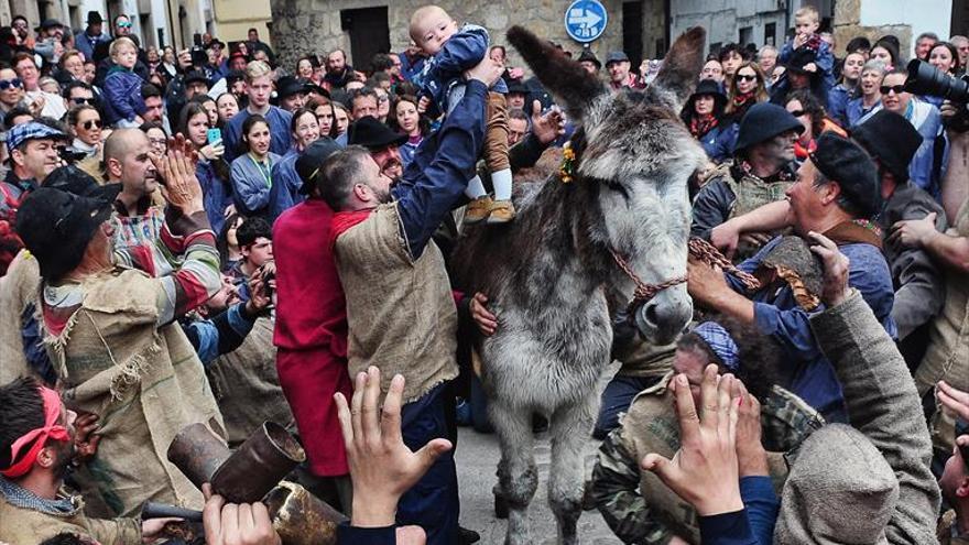 El alcalde asegura que el burro no sufrió daños durante la fiesta del Pero Palo