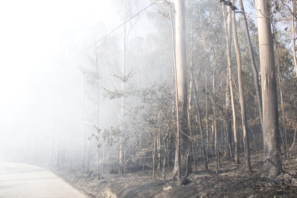 Incendios en Galicia | Segunda jornada de lucha contra el fuego en Cotobade