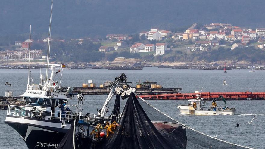 La crisis del cerco agrava su fragmentación en Galicia: la principal asociación del sector ya solo representa a un tercio de la flota