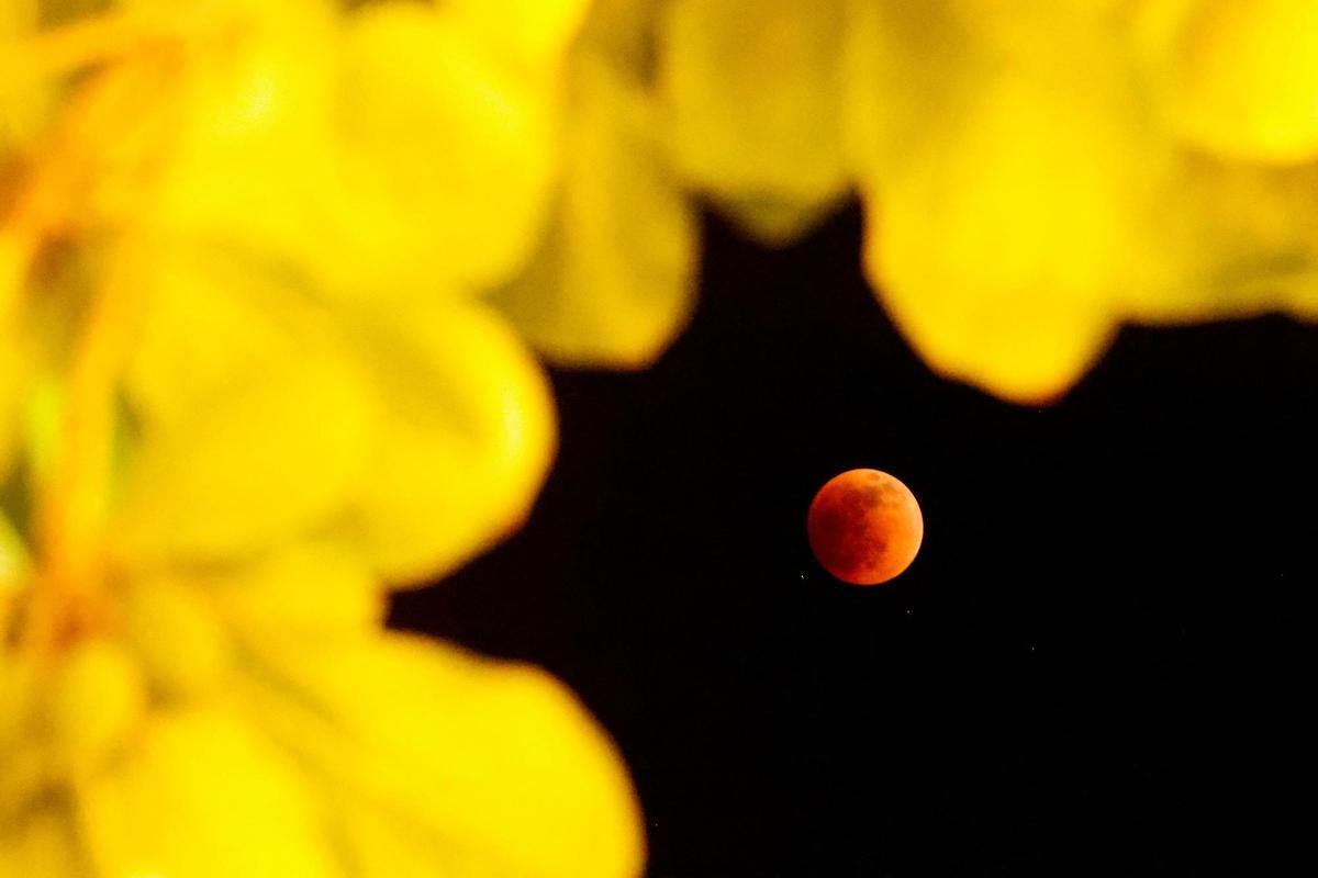 El eclipse desde México.