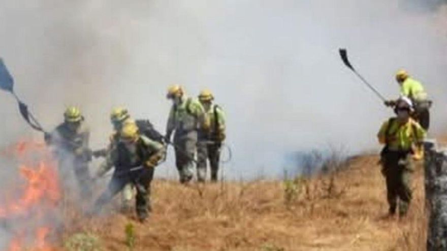 Peones de una cuadrilla terrestre trabajan en la extinción de un fuego. | CEDIDA