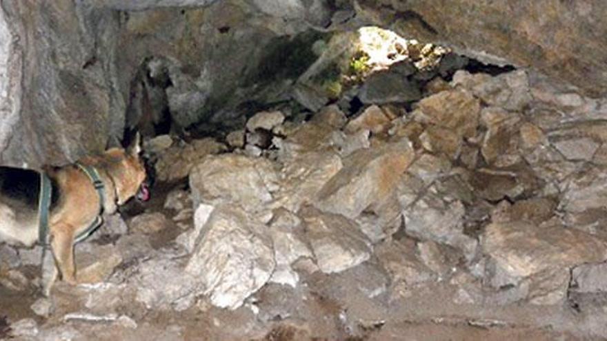 Imagen del interior de la cueva prehistórica ubicada en el municipio de Alaró.