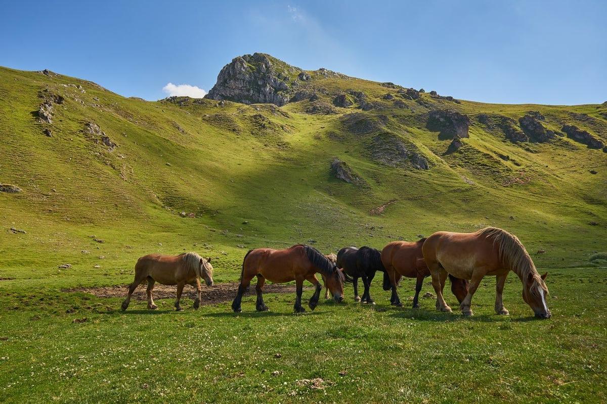 Babia, León