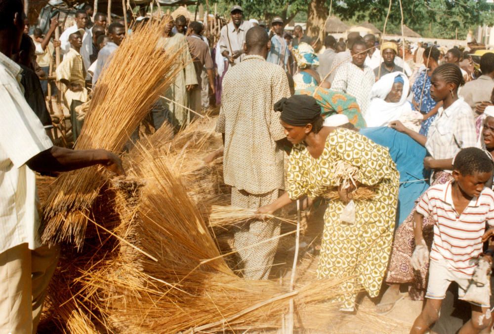 Mali - La refeccion septenal de la techumbre del Kamablon, casa sagrada de Kangaba.