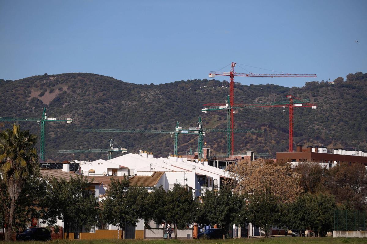 Las 30 VPO de Vimcorsa se construirán en San Rafael de la Albaida.
