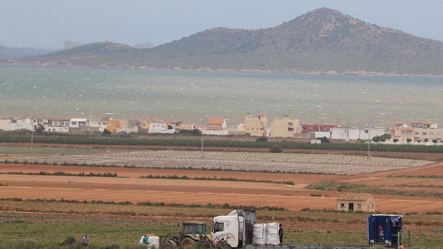 Cultivos agrícolas cerca del Mar Menor