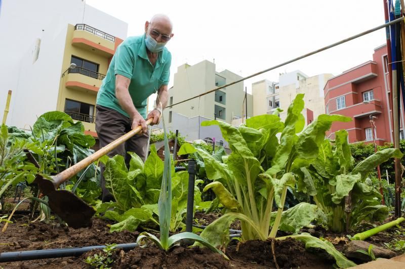 Reabren los huertos urbanos de la ciudad