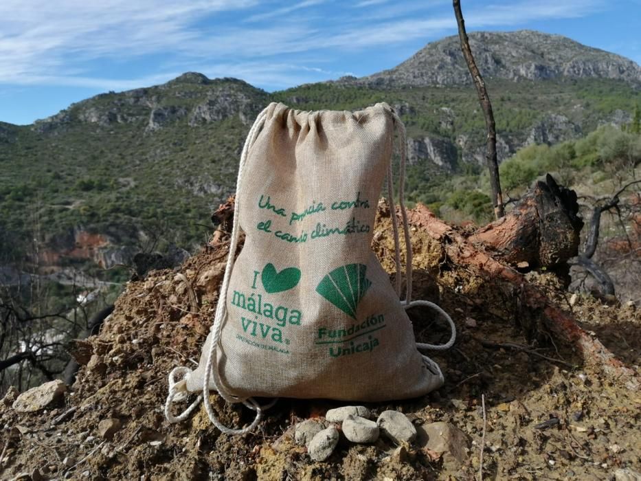 Acción para bombardear con semillas la zona afectada por el incendio de este verano en Casares.