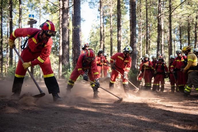 La UME realiza prácticas de prevención de incendios en Gran Canaria