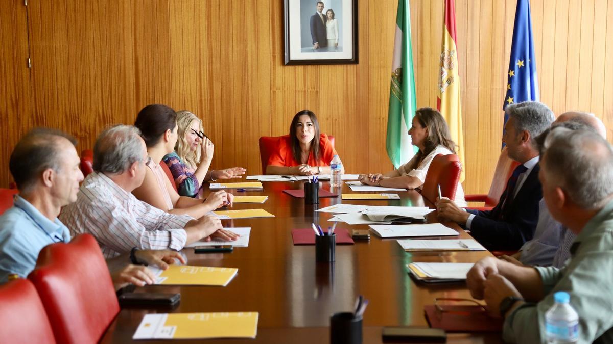 Asistentes a la comisión de seguimiento del PFEA de Córdoba.