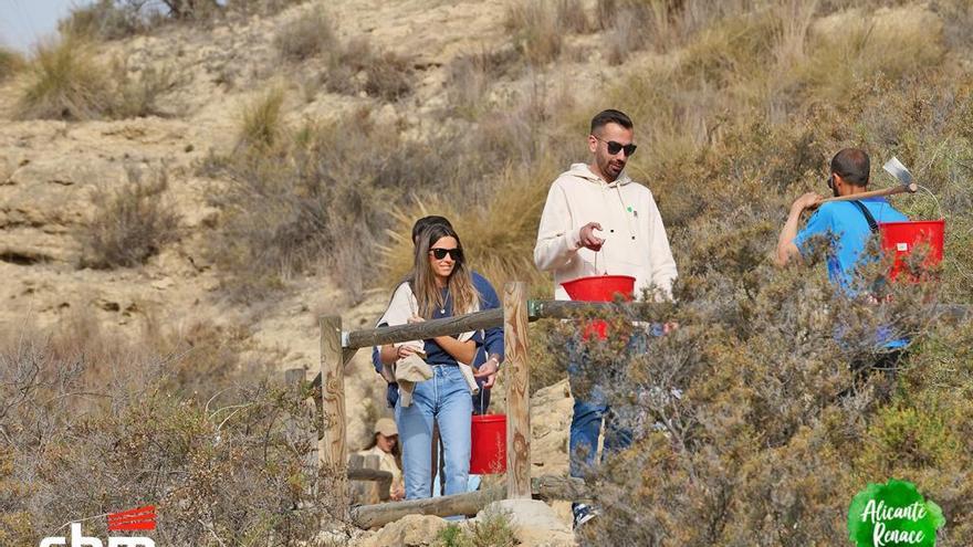 Más de 200 personas participan en la plantación de 150 árboles y 25.000 semillas en Cala Cantalar