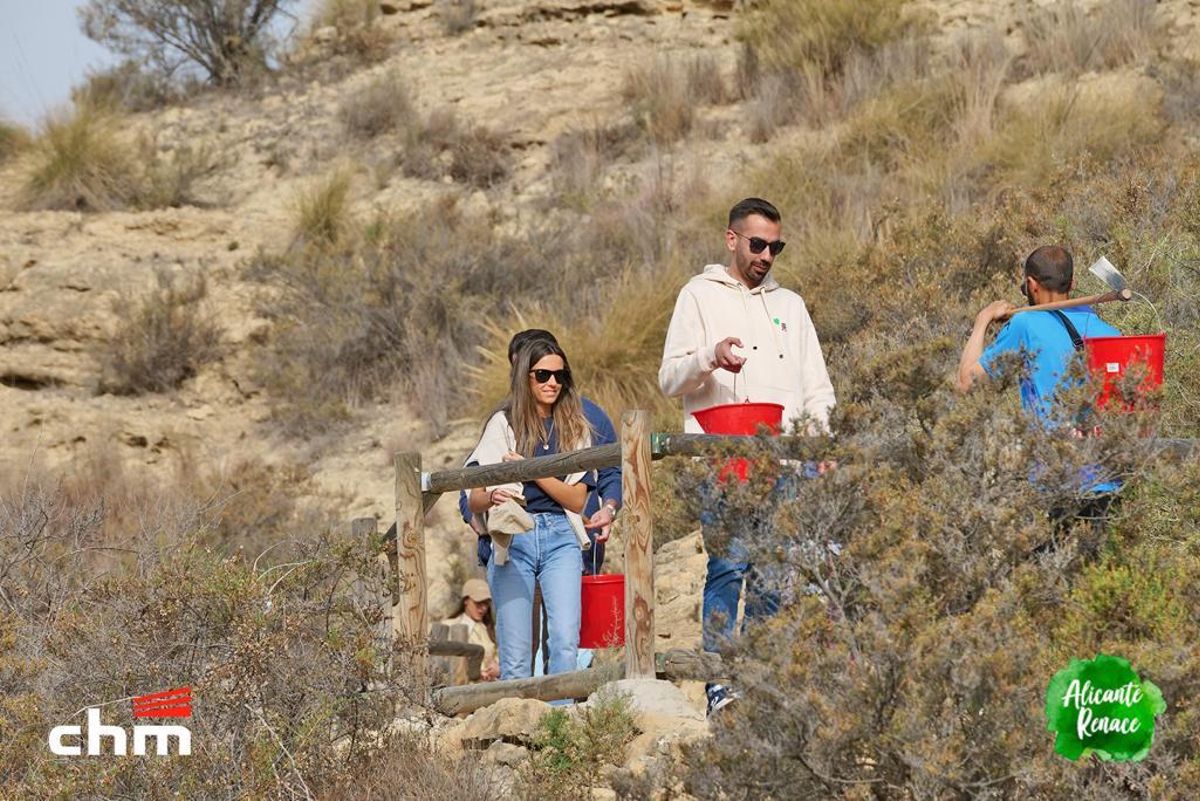 Reforestación con 150 árboles y 25.000 semillas en Cala Cantalar de Alicante