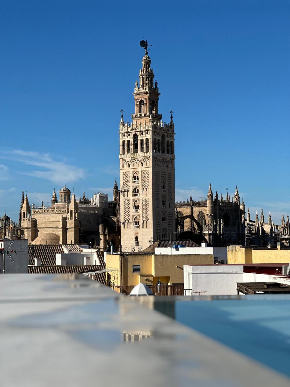 Vistas a la Giralda desde la piscina infinity.