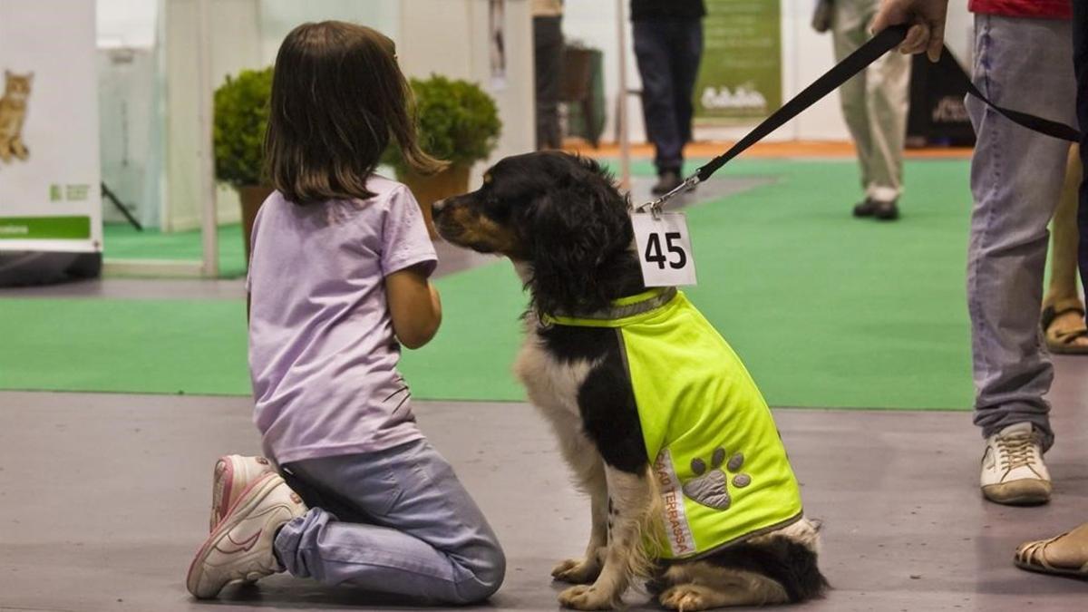 Una niña juega con un perro abandonado.