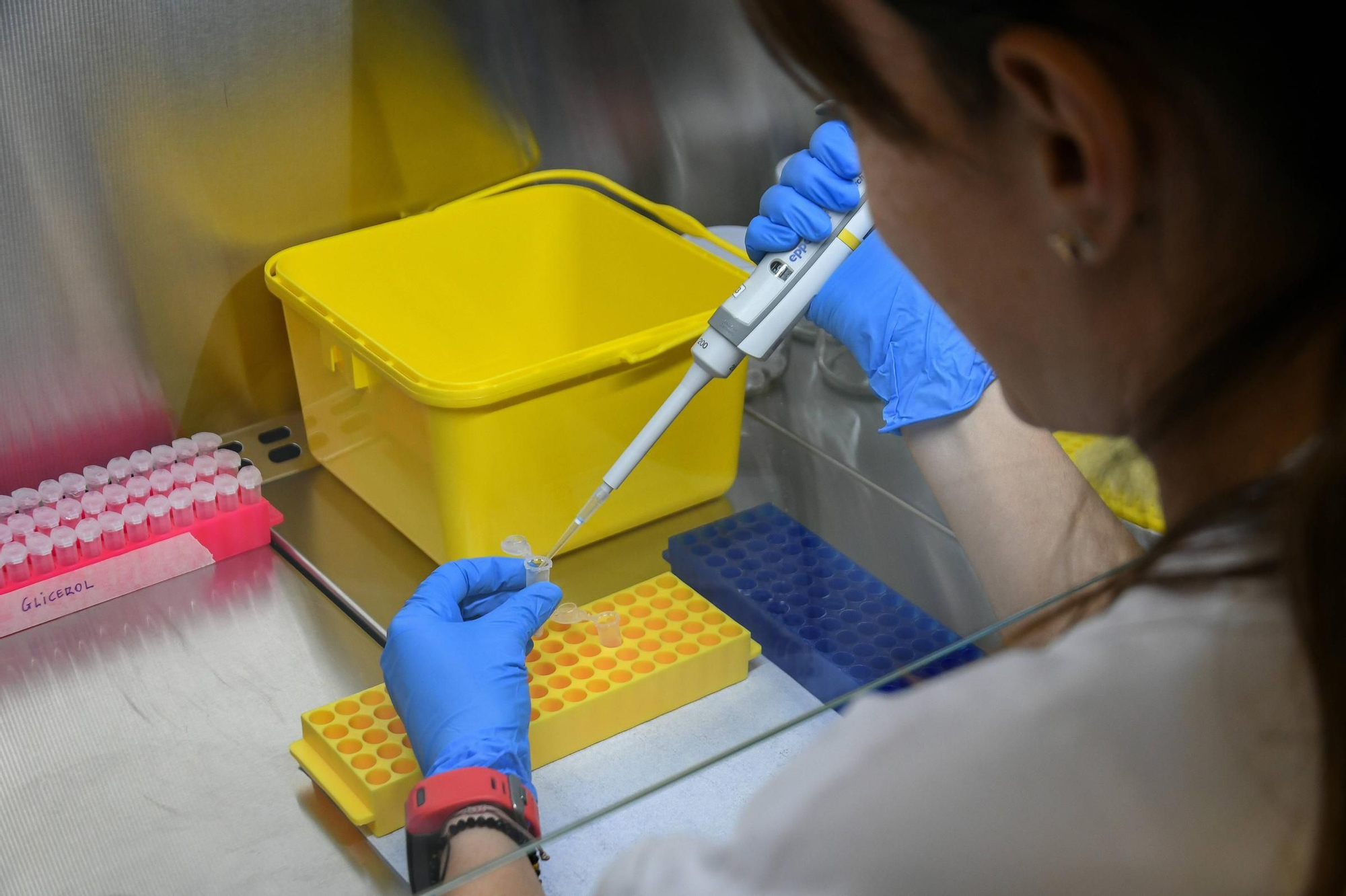 GALERÍA | Así trabaja el Laboratorio de Sanidad Animal de Zamora