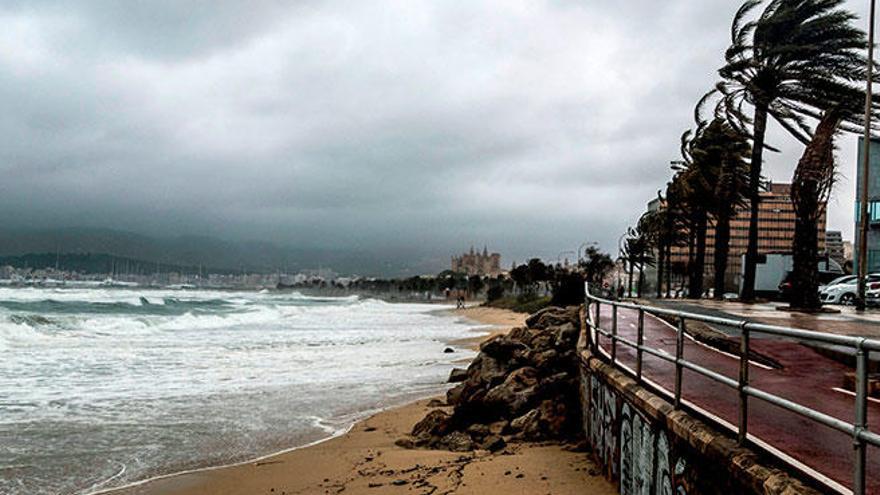 Mallorca, en alerta por fuertes vientos