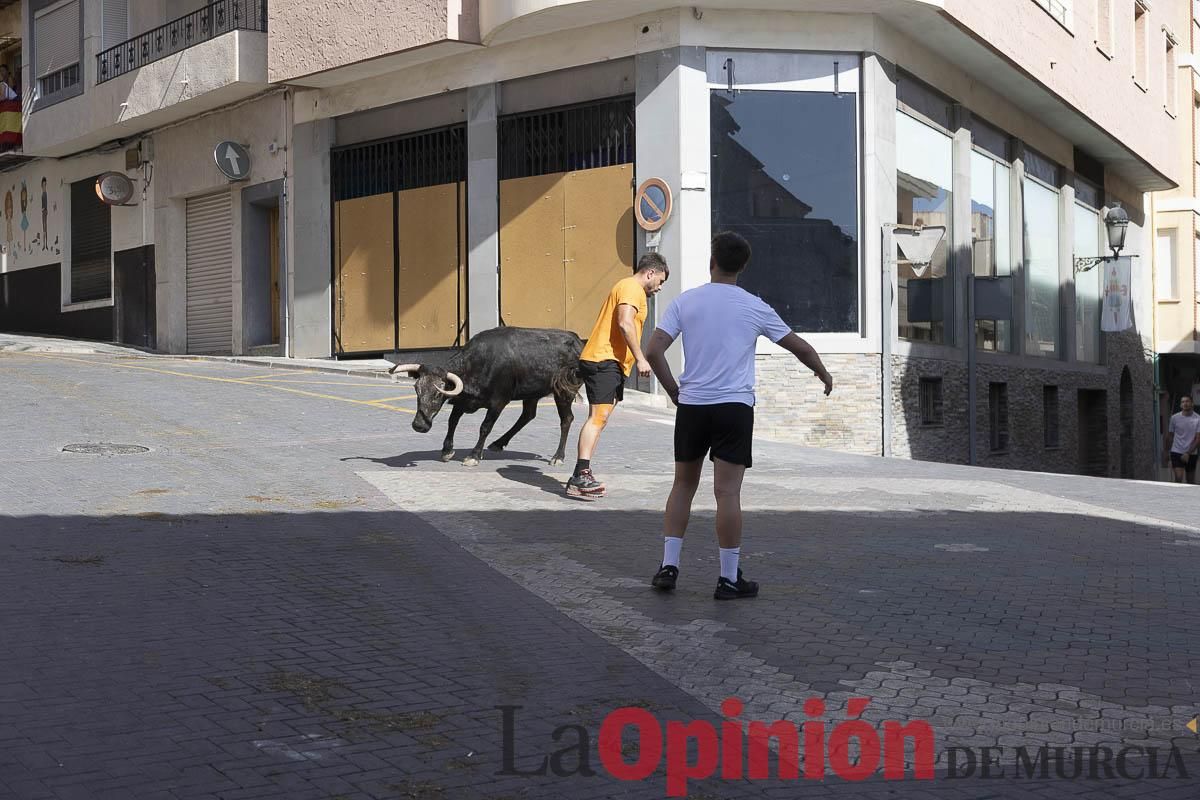 Cuarto encierro en las Fiestas de Moratalla