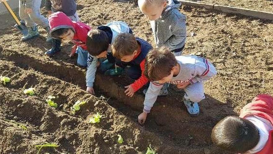 Alumnado del CRA de Tomiño trabajando en la huerta. // D.B.M.