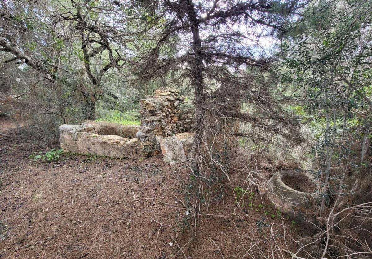 Pou des Cans, también en el entorno de Sant Jordi. | ARA EIVISSA