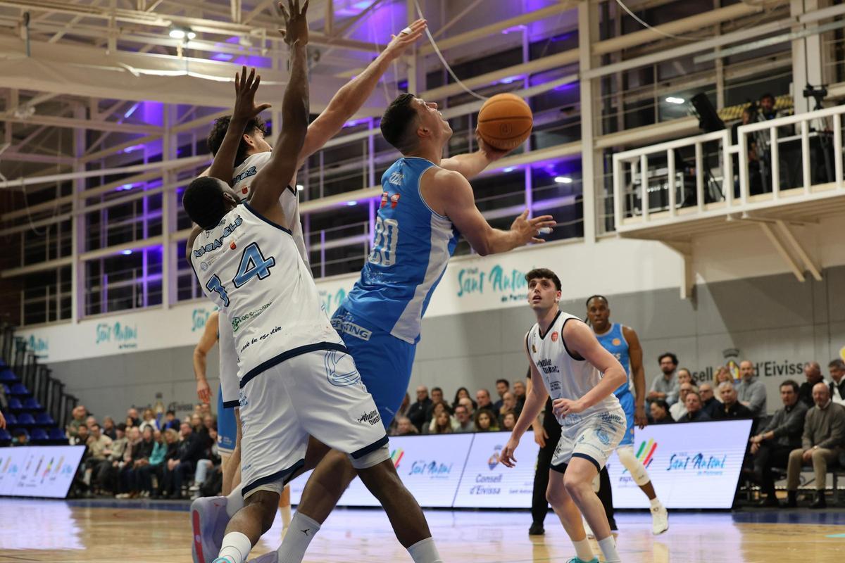 Todas las imágenes del partido de Ciudad Molina Basket.