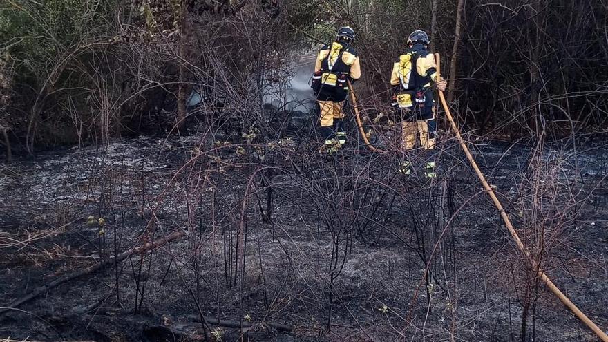 Se declara un incendio forestal en un torrente de Petra