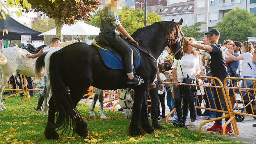 Vecinos con los caballos, el domingo en el recinto vallado.  // Gonzalo Núñez