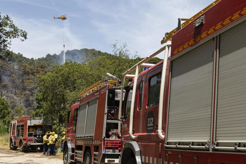 Incendi forestal en una urbanització de Lloret