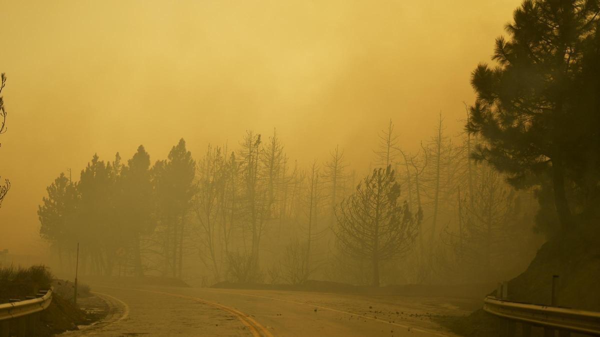 Paisaje quemado por el incendio Line en Running Springs, California