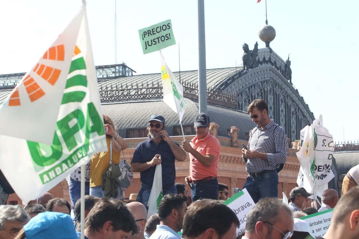 Córdoba se suma a la gran manifestación del olivar en Madrid