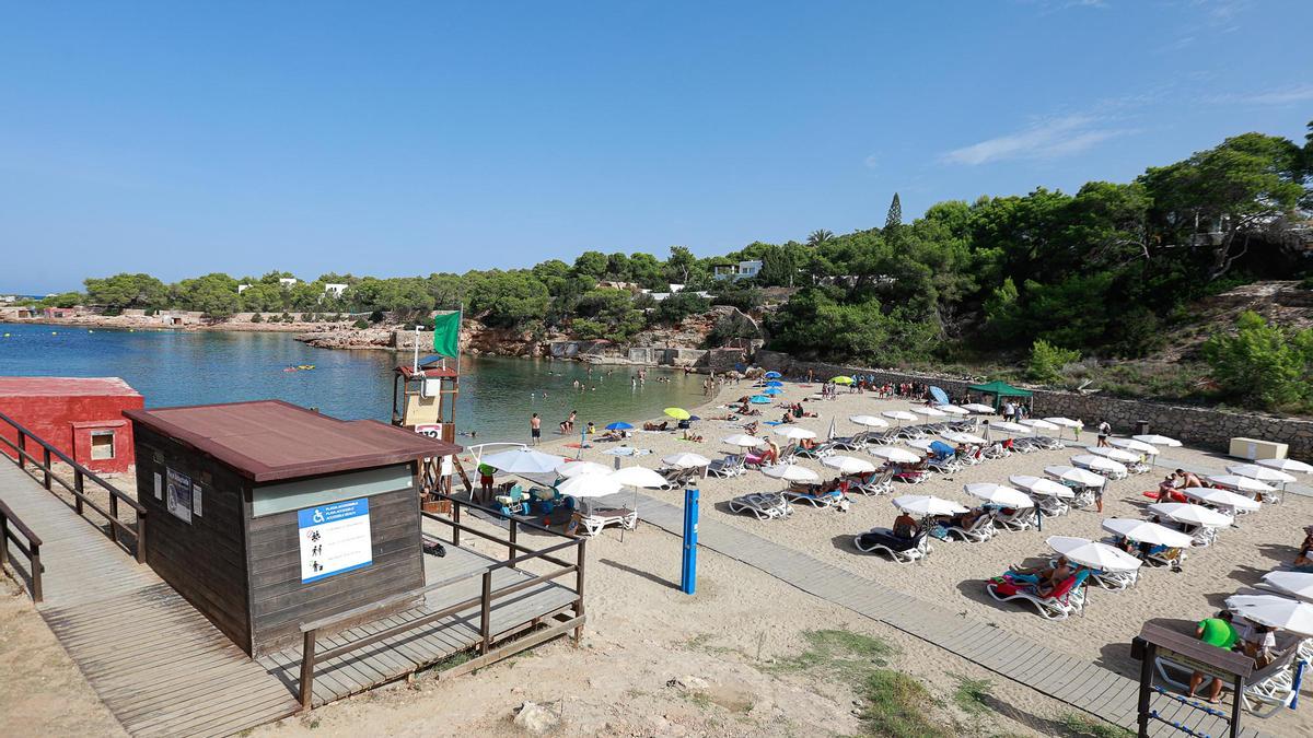 El peligro oculto bajo la arena en las playas de Ibiza: su veneno es uno de los más dolorosos