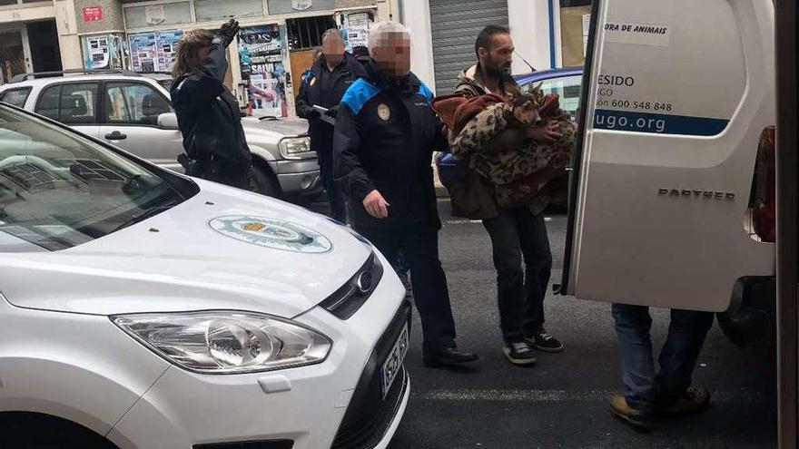 Intervención de la Policía, tras la orden de la juez de retirar la perra a sus dueños, en Lugo.