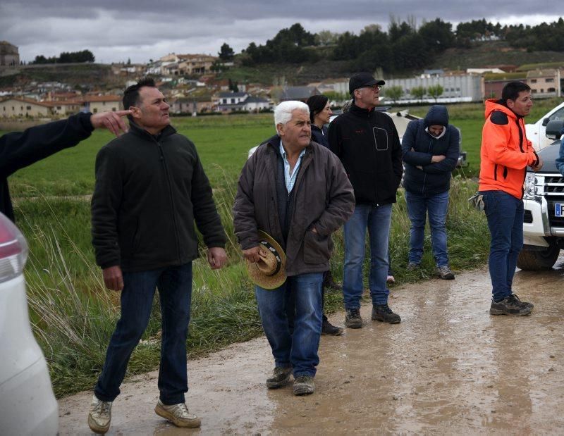 Impresionantes imágenes de la crecida del rio en Gelsa, Pinta y Quinto de Ebro