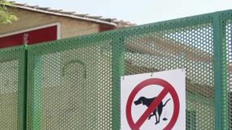 Un colegio pide a los padres que eviten que los perros defequen ante la escuela