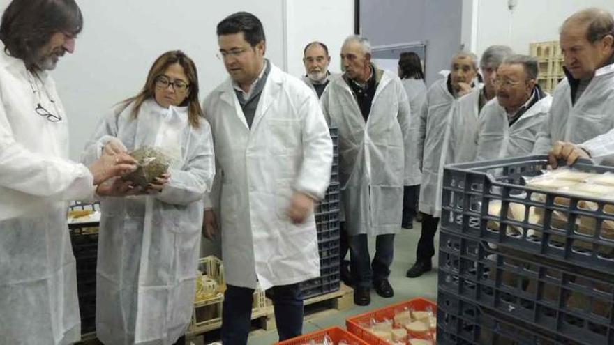 La presidenta de la Diputación Mayte Martín Pozo, junto al alcalde de Santibáñez y el responsable de la fábrica de quesos de la localidad de Vidriales.