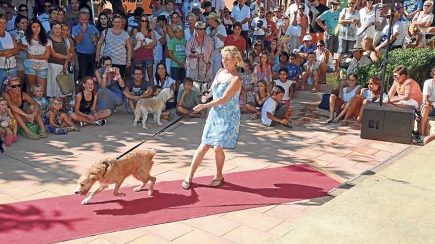 Hund auf rotem Teppich: bei einer vergangenen Ausgabe der Party.