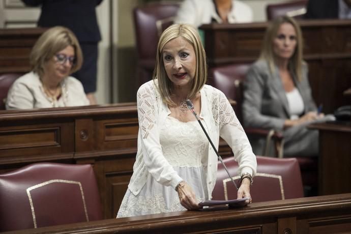 Pleno en el Parlamento de Canarias